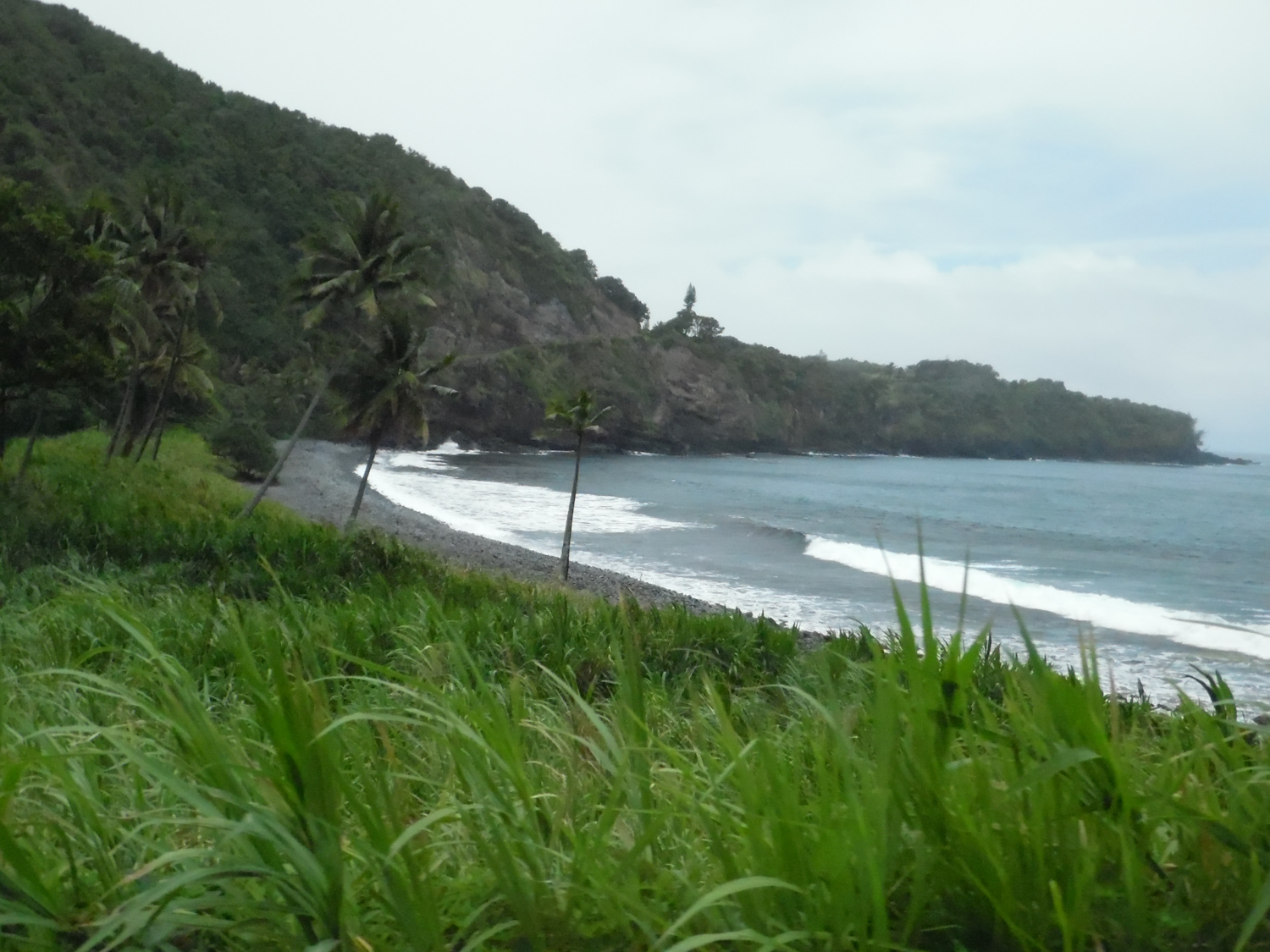 Coastal view from the Piilani highway